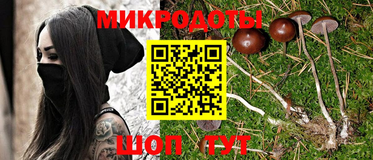 Галлюциногенные грибы мухоморы Черкесск